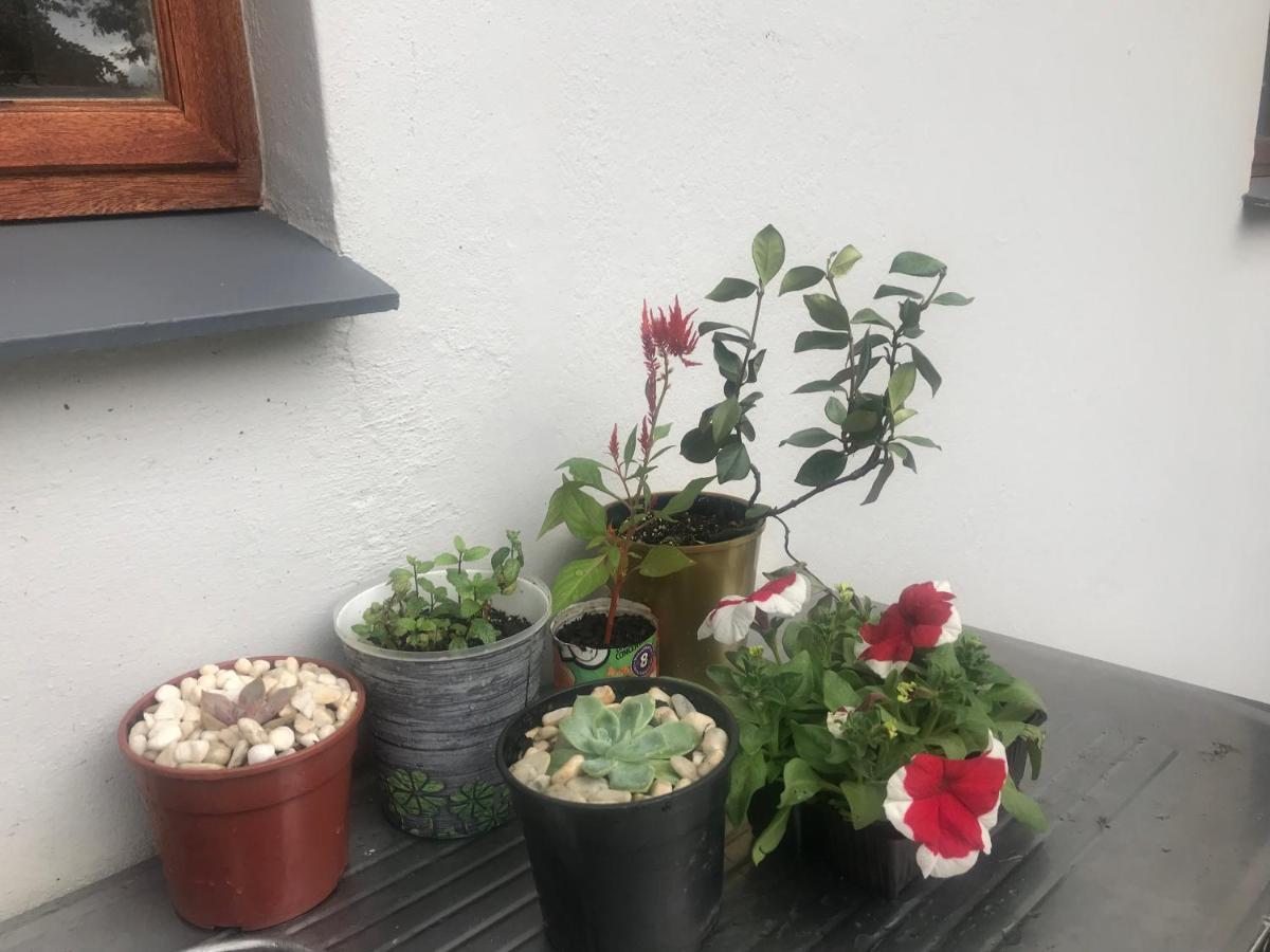 Bed and Breakfast Bokamoso Views Rustenburg Exterior foto
